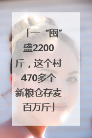 一“囤”盛2200斤，这个村470多个新粮仓存麦百万斤