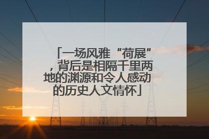 一场风雅“荷展”，背后是相隔千里两地的渊源和令人感动的历史人文情怀