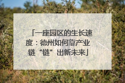一座园区的生长速度：德州如何靠产业链“链”出新未来