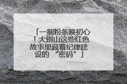 一捆粉条映初心！大别山这些红色故事里藏着纪律建设的 “密码”