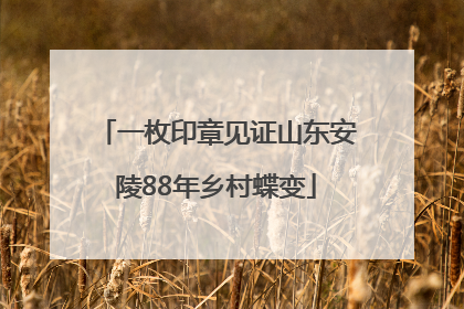 一枚印章见证山东安陵88年乡村蝶变