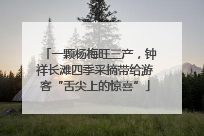 一颗杨梅旺三产，钟祥长滩四季采摘带给游客“舌尖上的惊喜”