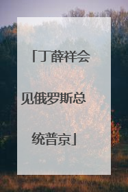 丁薛祥会见俄罗斯总统普京
