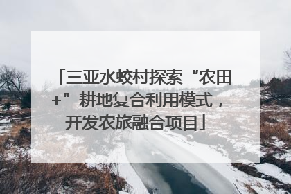 三亚水蛟村探索“农田+”耕地复合利用模式，开发农旅融合项目