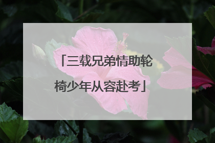三载兄弟情助轮椅少年从容赴考