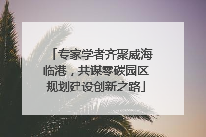 专家学者齐聚威海临港，共谋零碳园区规划建设创新之路