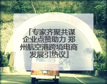 专家齐聚共谋 企业点赞助力 郑州航空港跨境电商发展引热议