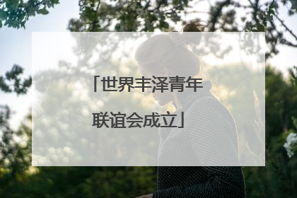 世界丰泽青年联谊会成立