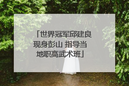世界冠军邱建良现身彭山 指导当地职高武术班