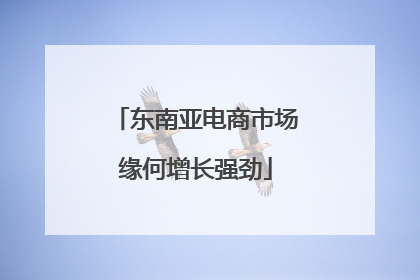 东南亚电商市场缘何增长强劲