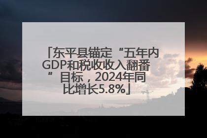 东平县锚定“五年内GDP和税收收入翻番”目标，2024年同比增长5.8%