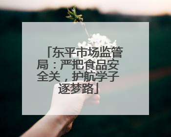 东平市场监管局：严把食品安全关，护航学子逐梦路