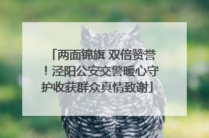 两面锦旗 双倍赞誉！泾阳公安交警暖心守护收获群众真情致谢