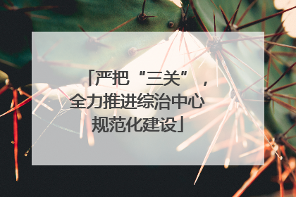 严把“三关”，全力推进综治中心规范化建设