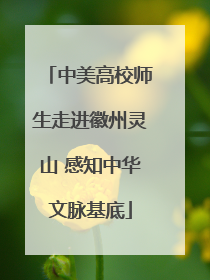 中美高校师生走进徽州灵山 感知中华文脉基底