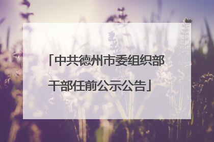 中共德州市委组织部干部任前公示公告
