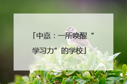 中嘉：一所唤醒“学习力”的学校