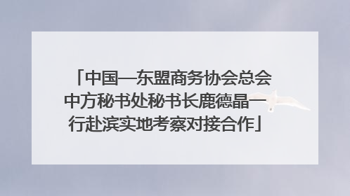 中国—东盟商务协会总会中方秘书处秘书长鹿德晶一行赴滨实地考察对接合作