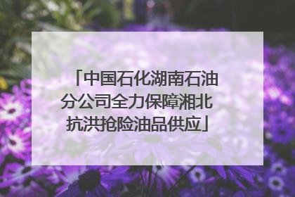 中国石化湖南石油分公司全力保障湘北抗洪抢险油品供应