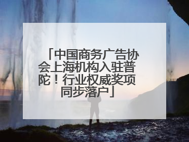中国商务广告协会上海机构入驻普陀！行业权威奖项同步落户