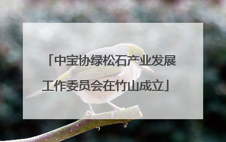 中宝协绿松石产业发展工作委员会在竹山成立
