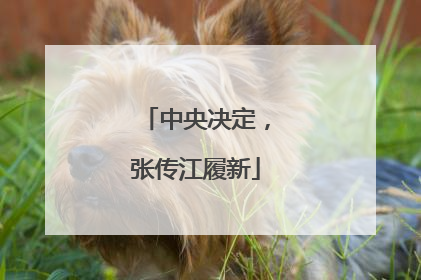 中央决定，张传江履新