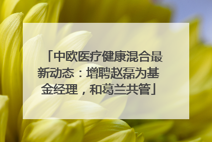 中欧医疗健康混合最新动态：增聘赵磊为基金经理，和葛兰共管