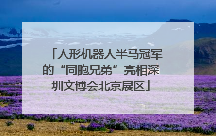 人形机器人半马冠军的“同胞兄弟”亮相深圳文博会北京展区