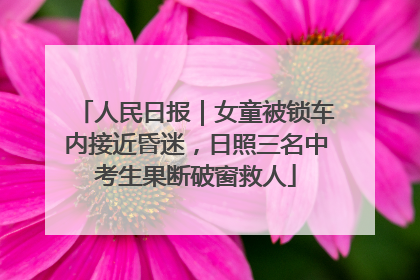 人民日报｜女童被锁车内接近昏迷，日照三名中考生果断破窗救人