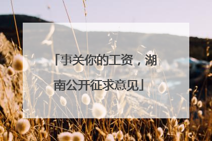 事关你的工资，湖南公开征求意见