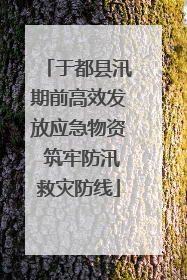 于都县汛期前高效发放应急物资 筑牢防汛救灾防线