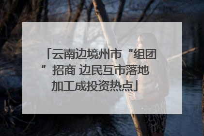 云南边境州市“组团”招商 边民互市落地加工成投资热点
