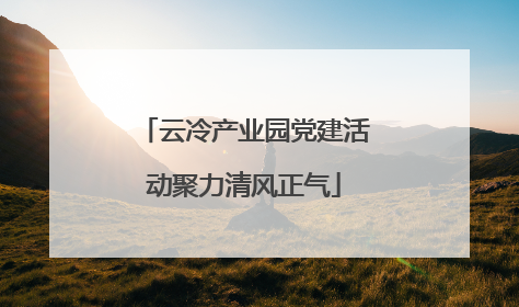 云冷产业园党建活动聚力清风正气