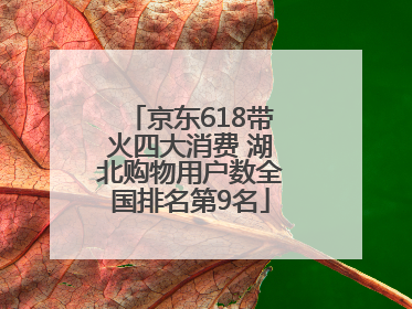 京东618带火四大消费 湖北购物用户数全国排名第9名