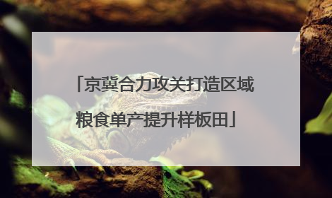 京冀合力攻关打造区域粮食单产提升样板田