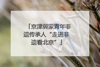 京津冀蒙青年非遗传承人“走进非遗看北京”