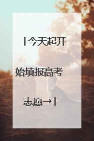 今天起开始填报高考志愿→