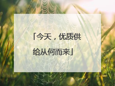 今天，优质供给从何而来