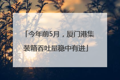 今年前5月，厦门港集装箱吞吐量稳中有进