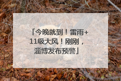 今晚就到！雷雨+11级大风！刚刚，淄博发布预警