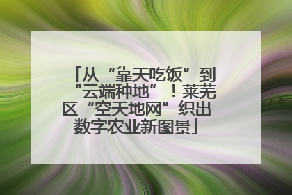 从“靠天吃饭”到“云端种地”！莱芜区“空天地网”织出数字农业新图景