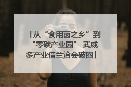 从“食用菌之乡”到“零碳产业园” 武威多产业借兰洽会破圈