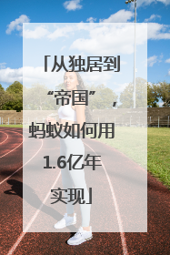 从独居到“帝国”，蚂蚁如何用1.6亿年实现
