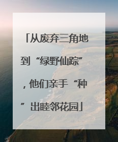从废弃三角地到“绿野仙踪”，他们亲手“种”出睦邻花园