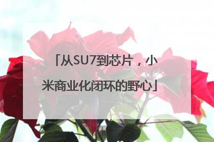 从SU7到芯片，小米商业化闭环的野心