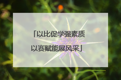 以比促学强素质 以赛赋能展风采