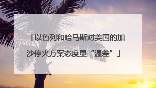以色列和哈马斯对美国的加沙停火方案态度显“温差”