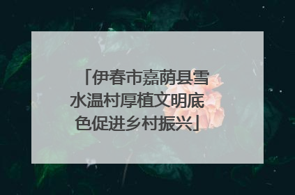 伊春市嘉荫县雪水温村厚植文明底色促进乡村振兴