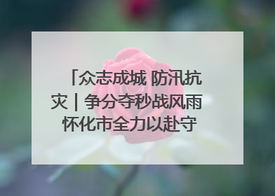 众志成城 防汛抗灾｜争分夺秒战风雨 怀化市全力以赴守护人民群众安全