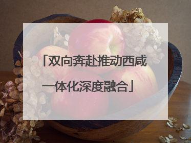双向奔赴推动西咸一体化深度融合